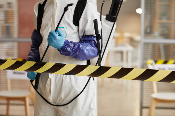 Professional Hoarding Cleanup technician working in Orient, NY